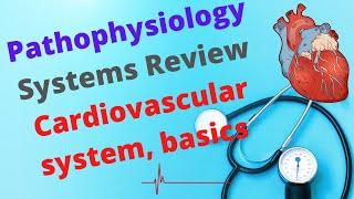 Cardiovascular Systems Review