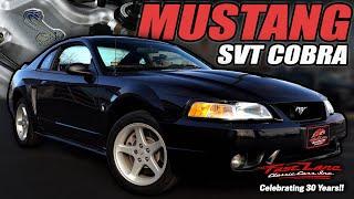 1999 Ford Mustang SVT Cobra - For Sale at Fast Lane Classic Cars!