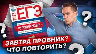 ЗАВТРА ПРОБНИК? ЧТО ПОВТОРИТЬ? | Русский язык 2023 | Умскул