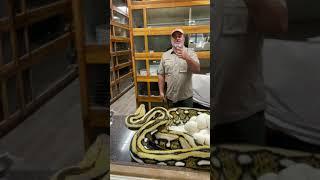 Giant Python Bit Me in the Face  full video on my channel 