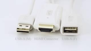 [UNITEK] Mobile to HDMI Display Cable (M101AWH)