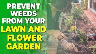 How to Prevent Weeds on Your Lawn, Flower Garden, and Vegetable Garden