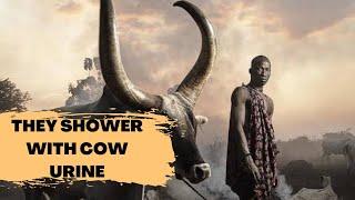 The fascinating tribe of Africa that uses cow-urine to bath | not hadzabe tribe | not Hadza