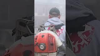 Man with leafblower interrupts news coverage on Luigi Mangione