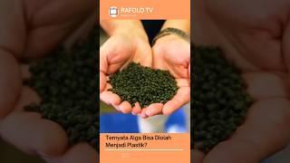 Alga ternyata bisa diolah menjadi plastik ? #shorts #shortvideo #shortsyoutube #short #fyp