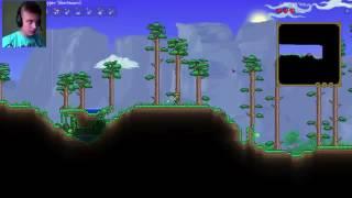 Terraria Play