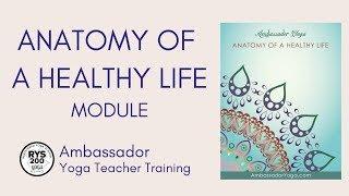 Anatomy of a Healthy Life - Yoga Teacher Training