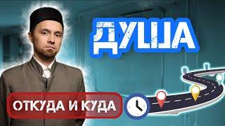 ПУТЕШЕСТВИЕ ДУШИ - ОТ КУДА И КУДА