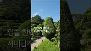 외도 보타니아//#사내 #나훈아 #거제여행  #외도보타니아