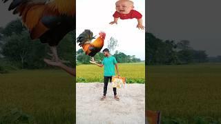 Flying crying babies catching vs hen, parrot & puppy vs yellow lizard - funny vfx magic