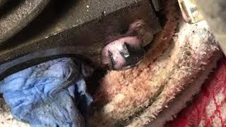 Part 2/6   Chev GM Tahoe 5.3 Vortec Broken Exhaust Manifold Bolts Extraction, Passenger's Side,