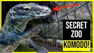 INSIDE the World’s Most Underrated Zoo – Jakarta’s Secret Wildlife Park!