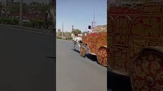 ghoda palki Raja ki Savari dulhe ka tanga