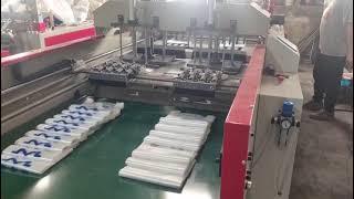 HSRQ-500x2G  high speed automatic 2lines t shirt bag heat cutting machine