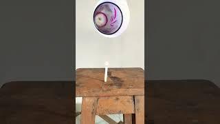 Paper Experiment #shorts #science #experiment #viral #video @MRINDIANHACKER @CrazyXYZ