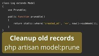 Laravel Prunable Models: Delete Old Unnecessary Records