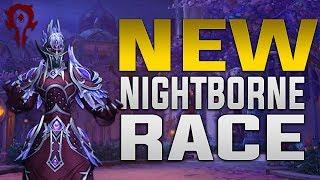 Nightborne | Customization, Heritage Armor, Racials, Voices & Race Mount |  Horde Allied Race