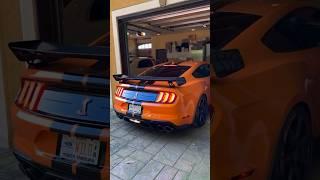 Shelby GT500 Rolling! 