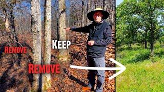 How To Improve Hardwood Timber for Wildlife - Part 1: Principles (801)