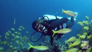 Coral Sea & Cod Hole Expedition - 5 Night | Mike Ball Dive Expeditions