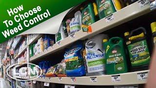 How To Choose The Right Weed Control for Your Lawn with Allyn Hane The Lawn Care Nut