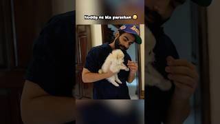 Noddy ne kia pareshan #familyvlogs #familyfun #bhammukiduniya