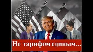 Arie Elinson.#459 Виктория Вексельман.Недельный обзор. Израиль и Мировое сообщество.Часть 74.