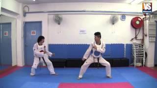 Taekwondo Kick # 18