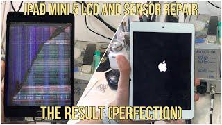 iPad Mini 5 LCD and Glass Repair (Prefect and Cheap Repair)