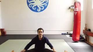 Martial arts yoga: Seated poses