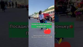 Посадила новую яблоню чемпион. Поздний сорт 🫶 #садиогород #яблонячемпион