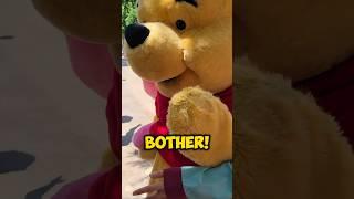 Guest makes Winnie the Pooh ANGRY! Piglet RARE Appearance! FUNNY Disney Characters #disneyparks