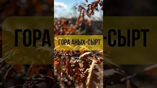 Вместо тысячи психологов . PRO Крым #зимавкрыму #природакрыма #декабрь #морегорылес