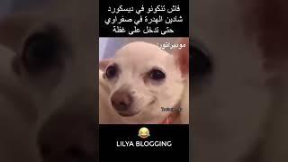 Mohammed Sefraoui & Lilya Blogging #sefraoui #lbc