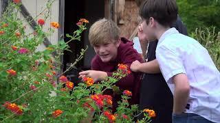 Poquoson Elementary Learning Garden