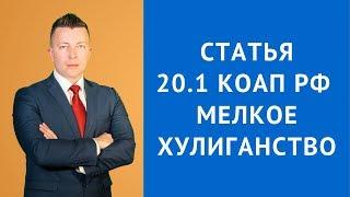 КоАП РФ Статья 20.1 Мелкое хулиганство - Административный адвокат