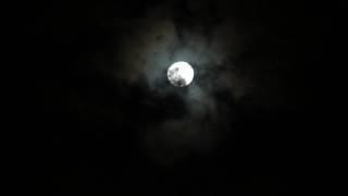 THE MOON