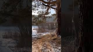 Наш отель зимой