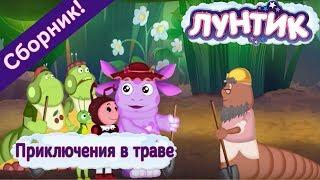 Лунтик  Приключения в траве  Сборник мультфильмов 2017