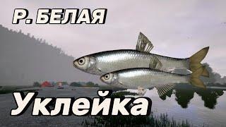 Фарм Уклейки на реке Белая. Русская рыбалка 4. #белая #уклейка #рр4