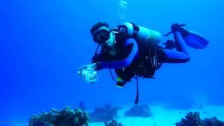 Abu Hashish dive trip, with Mike