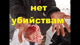 Убийствам НЕТ/Murder NO