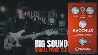 GAMMA Bacchus Dynamic Drive // Overdrive Pedal Demo