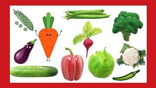 Learning vegetable names through pictures#vegetables#vegetableplate @eiva education home