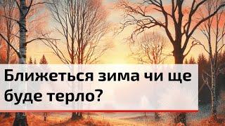 Сонячні вихідні та прогноз на наступний тиждень: якою буде погода? | C4