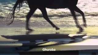 Ghuraba ᴴᴰ- (Me titra Shqip)