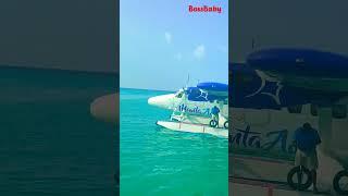 Sea plane takeoff from our island #maldives #seaplane #travel #trending #viral