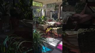 To fill it with plants obviously  #sunroom #houseplants #interiorstyling #plantslover #plantas