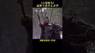 张飞战力几何？三国演义能排第几名？ #三国 #历史#三国演义 #张飞