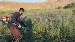 علفتراش بنزینی / علفتراش / چمن زن علفزن پشتی علف هرز grass cutter